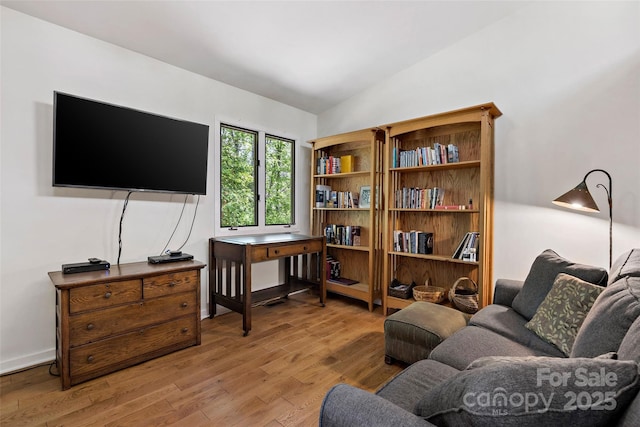 27 Stokes Dr, Asheville, NC 28805 - office featuring light wood-type flooring and vaulted ceiling