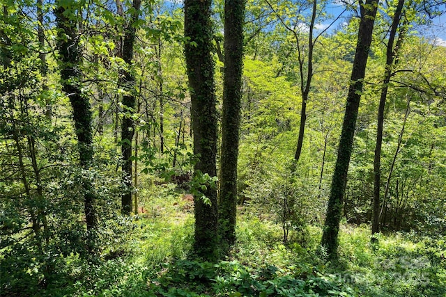 27 Stokes Dr, Asheville, NC 28805 - view of woods