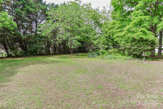 783 Carpenter Ave, Mooresville, NC 28115 - view of green lawn