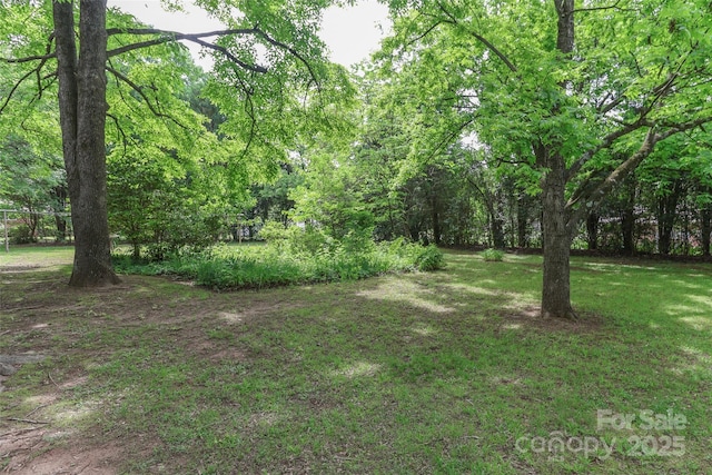 783 Carpenter Ave, Mooresville, NC 28115 - view of green lawn