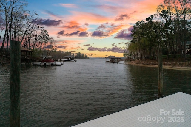 dock area featuring a water view