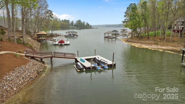 dock area with a water view
