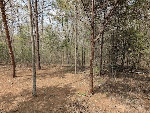 104 Little River Trl, Fort Mill, SC 29707 - photo 23