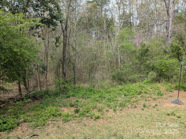 104 Little River Trl, Fort Mill, SC 29707 - photo 24