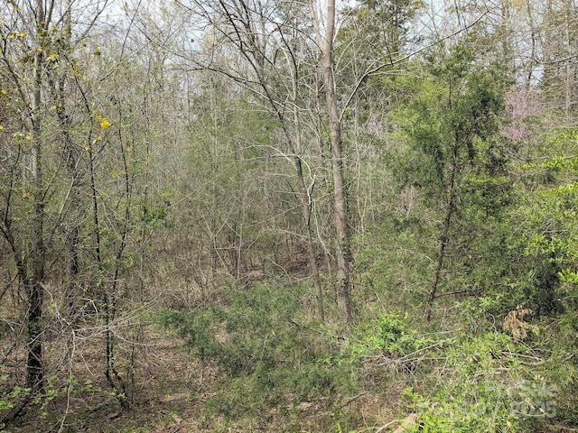 104 Little River Trl, Fort Mill, SC 29707 - photo 25