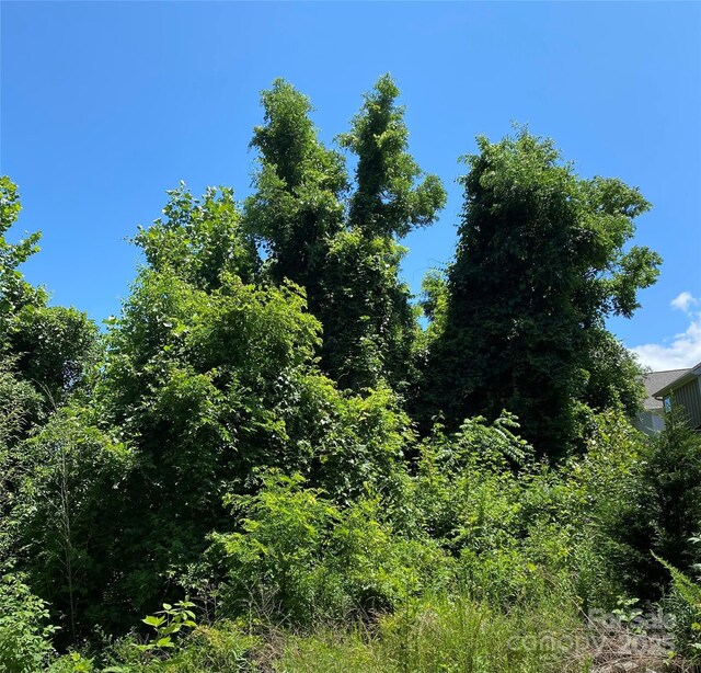 7 Shakedown St, Asheville, NC 28803