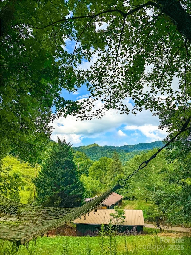 7923 Cruso Rd, Canton, NC 28716 - view of mountain backdrop featuring a forest