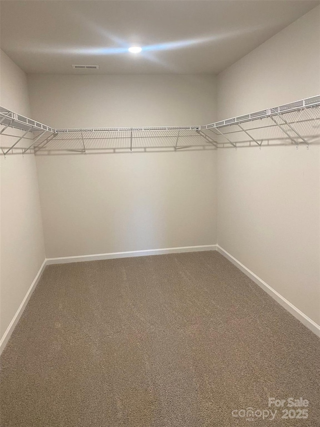 436 Phifer Rd, Kings Mountain, NC 28086 - walk in closet with carpet flooring