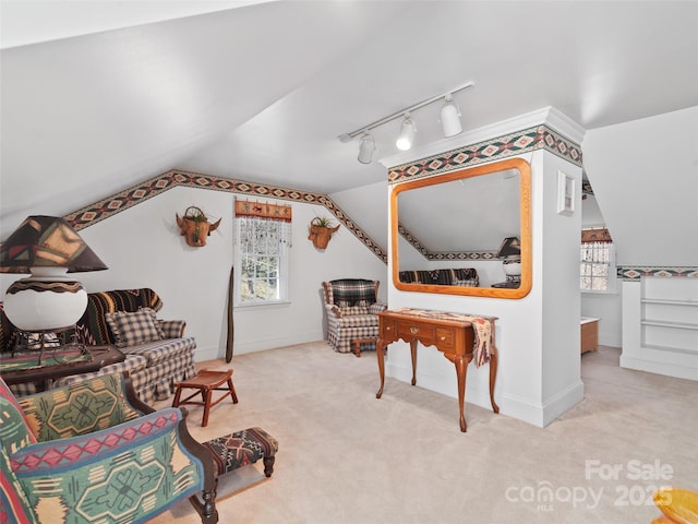 195 Nature Ln, Waynesville, NC 28786 - living area featuring rail lighting, carpet, lofted ceiling, and baseboards
