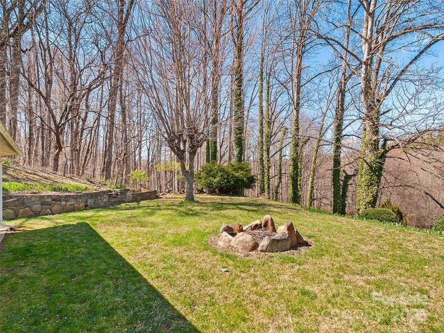 195 Nature Ln, Waynesville, NC 28786 - view of yard with an outdoor fire pit