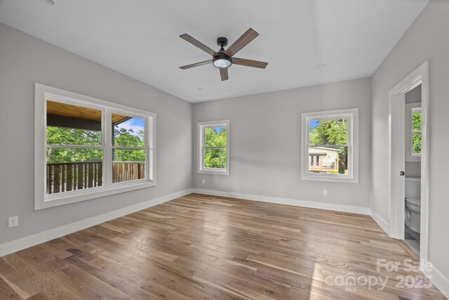 34 Woodrow Ave, Asheville, NC 28801 - photo 12