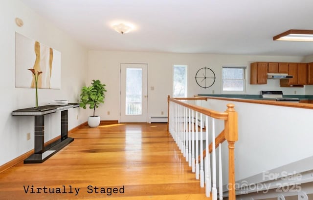 1510 Graham Rd, Marshall, NC 28753 - photo 4