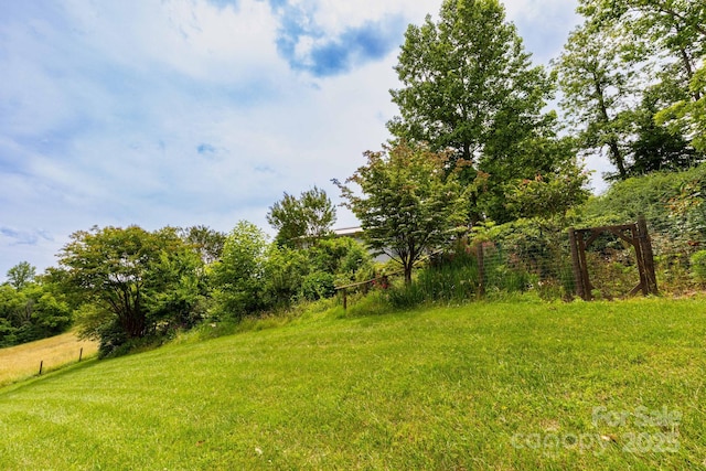 1510 Graham Rd, Marshall, NC 28753 - photo 28