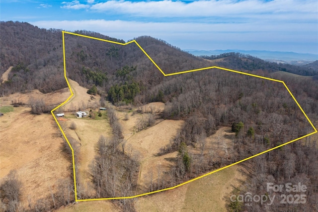 1510 Graham Rd, Marshall, NC 28753 - photo 32