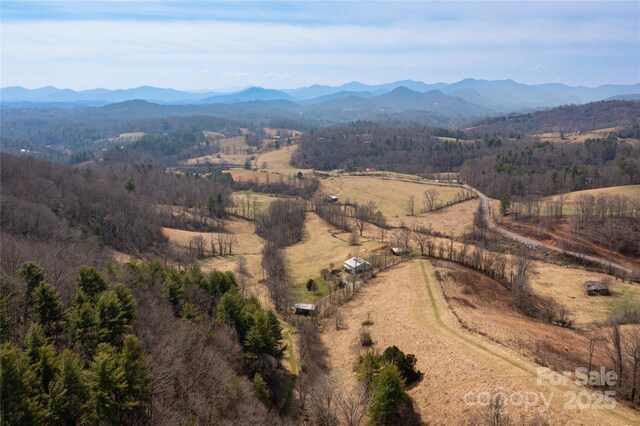 1510 Graham Rd, Marshall, NC 28753 - photo 33