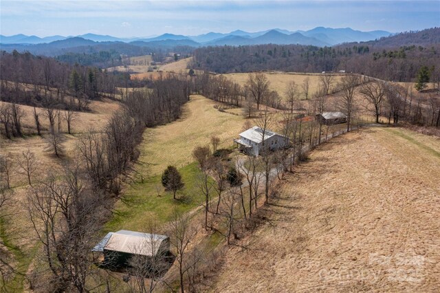 1510 Graham Rd, Marshall, NC 28753 - photo 34