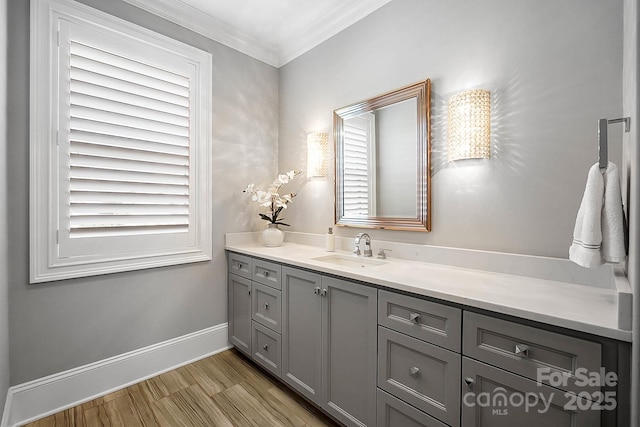 1311 Sunnys Halo Ln, Waxhaw, NC 28173 - bathroom with vanity, crown molding, plenty of natural light, and wood finished floors