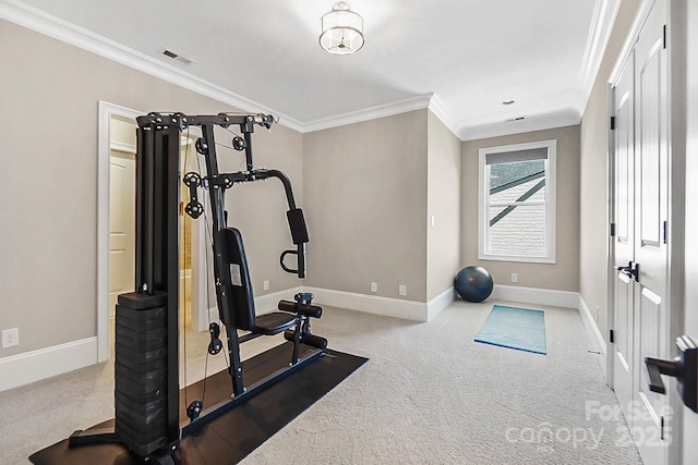 1311 Sunnys Halo Ln, Waxhaw, NC 28173 - workout room with carpet and ornamental molding
