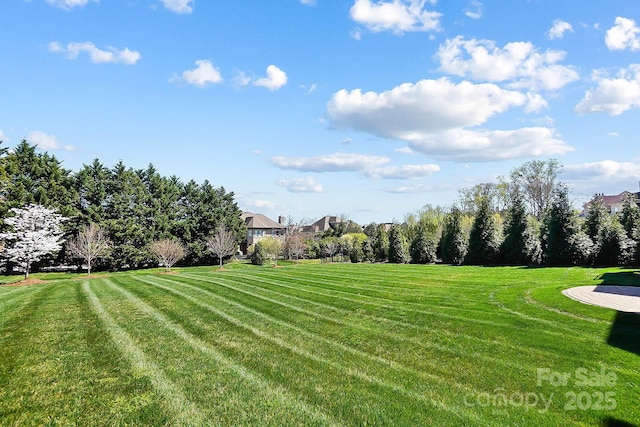 1311 Sunnys Halo Ln, Waxhaw, NC 28173 - view of grassy yard