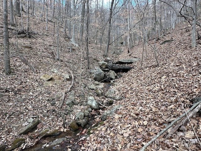 view of undeveloped land