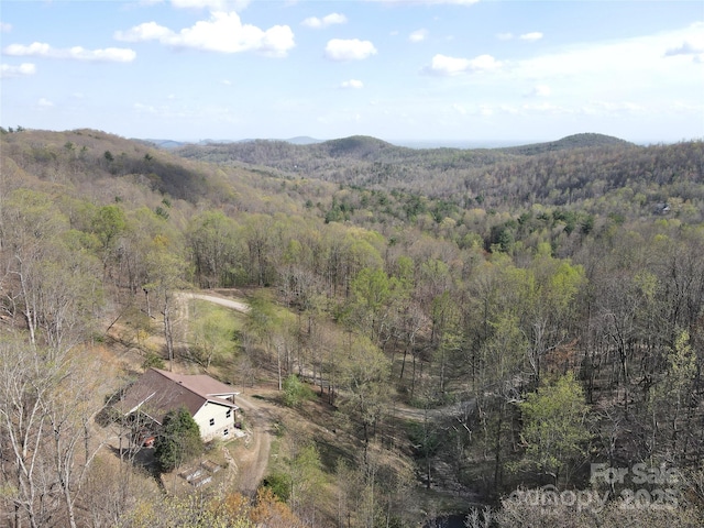 mountain view with a heavily wooded area