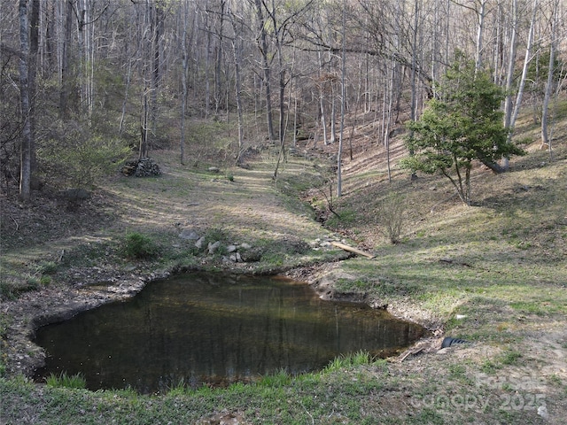 view of undeveloped land