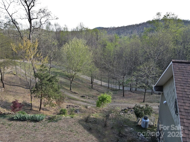 view of yard with a wooded view