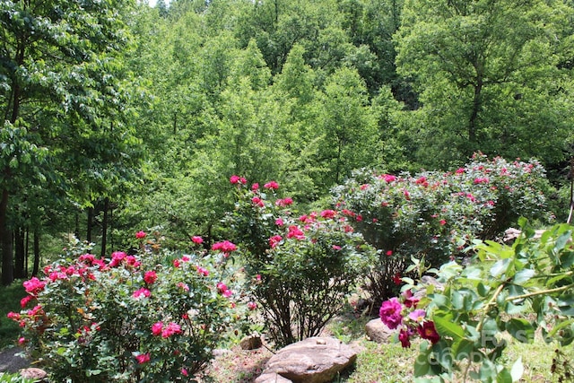 337 Roberson School Rd, Moravian Falls, NC 28654 - photo 5