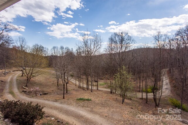 337 Roberson School Rd, Moravian Falls, NC 28654 - photo 40