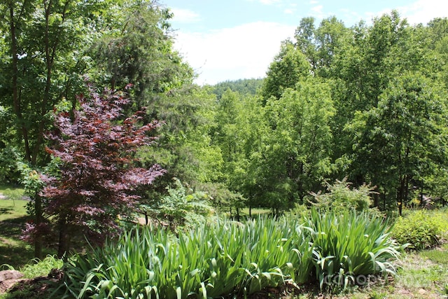 337 Roberson School Rd, Moravian Falls, NC 28654 - photo 48