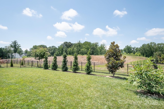 14015 Cameryn Elise Dr, Cornelius, NC 28031 - photo 34