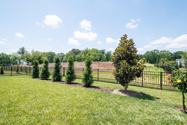 14015 Cameryn Elise Dr, Cornelius, NC 28031 - photo 40