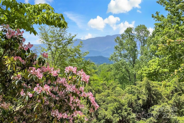 389 Orchard Rd, Bakersville, NC 28705 - photo 1