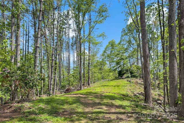 389 Orchard Rd, Bakersville, NC 28705 - photo 45