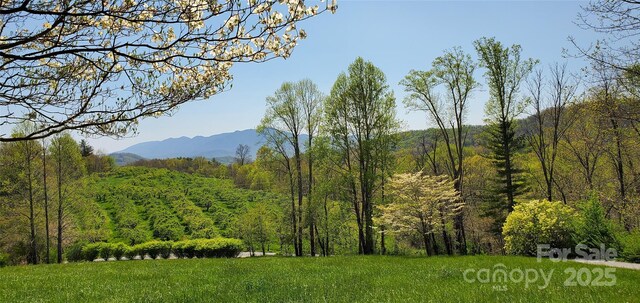 389 Orchard Rd, Bakersville, NC 28705 - photo 48
