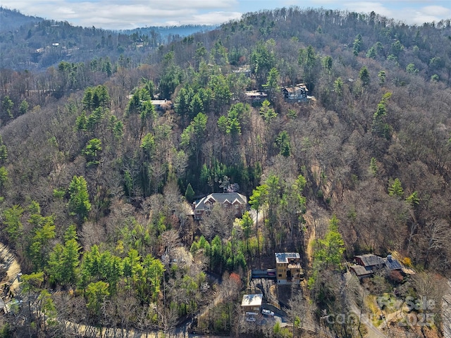 470 Patton Mountain Rd, Asheville, NC 28804 - photo 47