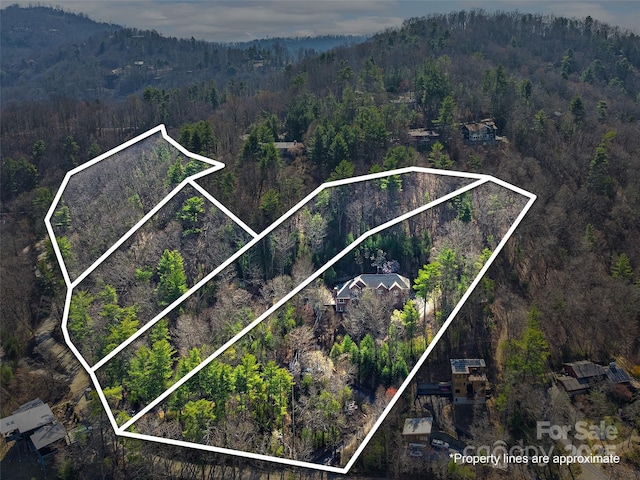 470 Patton Mountain Rd, Asheville, NC 28804 - photo 48