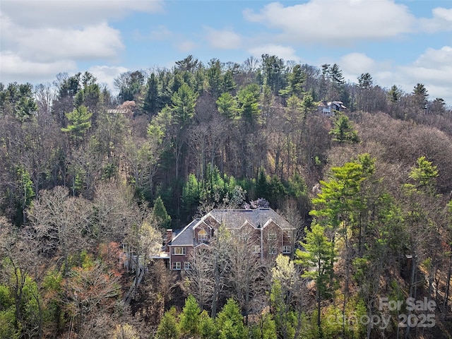470 Patton Mountain Rd, Asheville, NC 28804 - photo 46