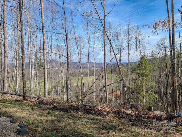 view of mountain feature with a forest view