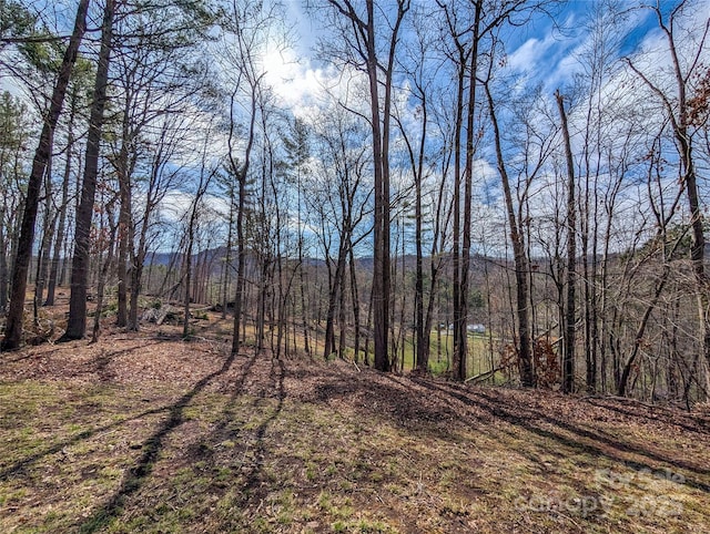 view of yard with a forest view