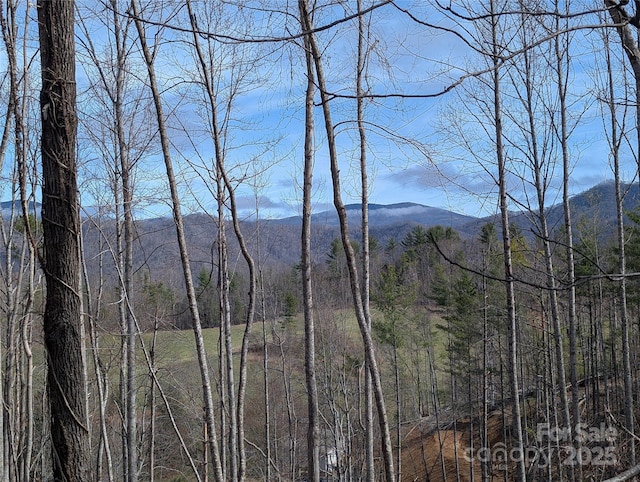 mountain view with a wooded view