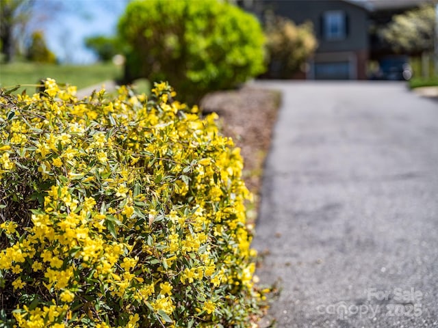 exterior details with driveway