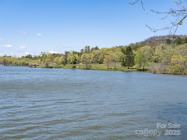 water view featuring a view of trees
