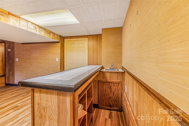 interior space with wooden walls, light wood-style flooring, a sink, and indoor wet bar