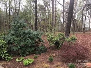 235 John Rainey Rd, Salisbury, NC 28147 - view of local wilderness