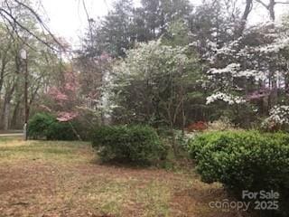 235 John Rainey Rd, Salisbury, NC 28147 - view of yard