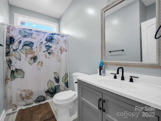 full bathroom featuring vanity, toilet, and a shower with curtain