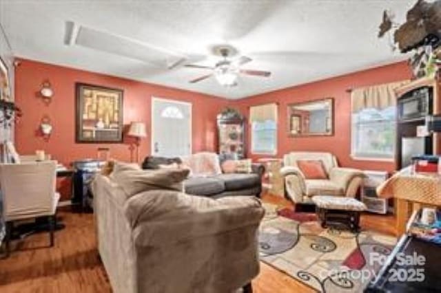 living room featuring ceiling fan and wood finished floors
