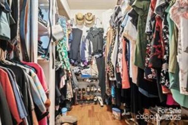 walk in closet featuring wood finished floors