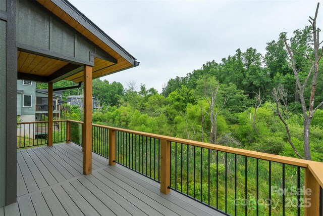 117 Rough Bark Trl, Asheville, NC 28806 - photo 42